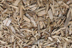 biomass boilers Birchill